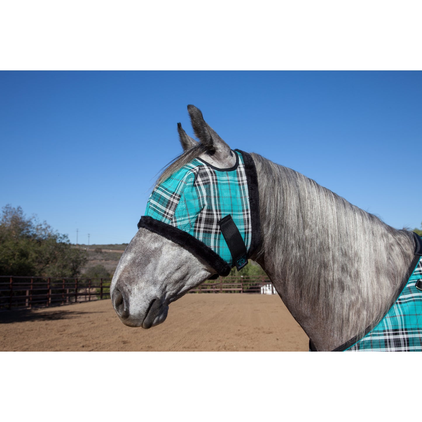 5-579905blackiceplaid.jpg