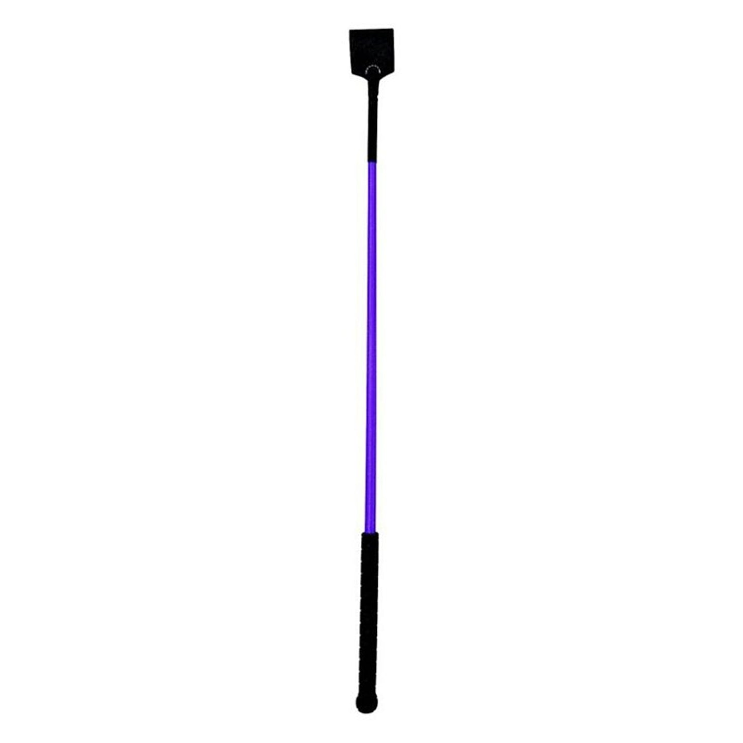 TE042236_663102.jpg