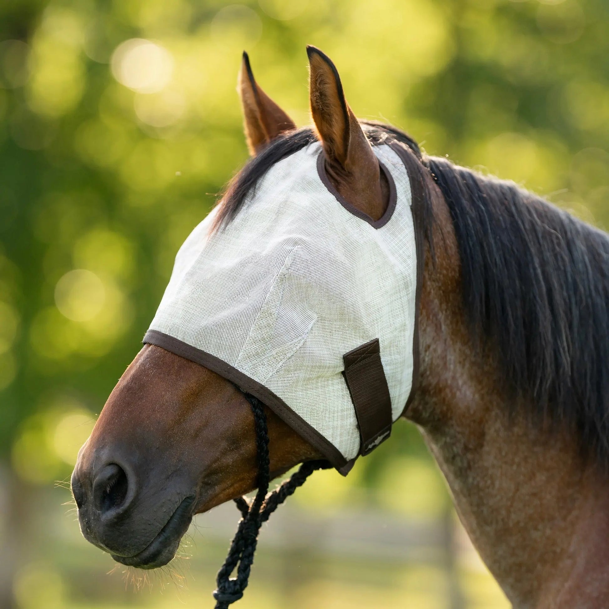 Kensington Fly Mask with 73% UV Protection - Open Top Design