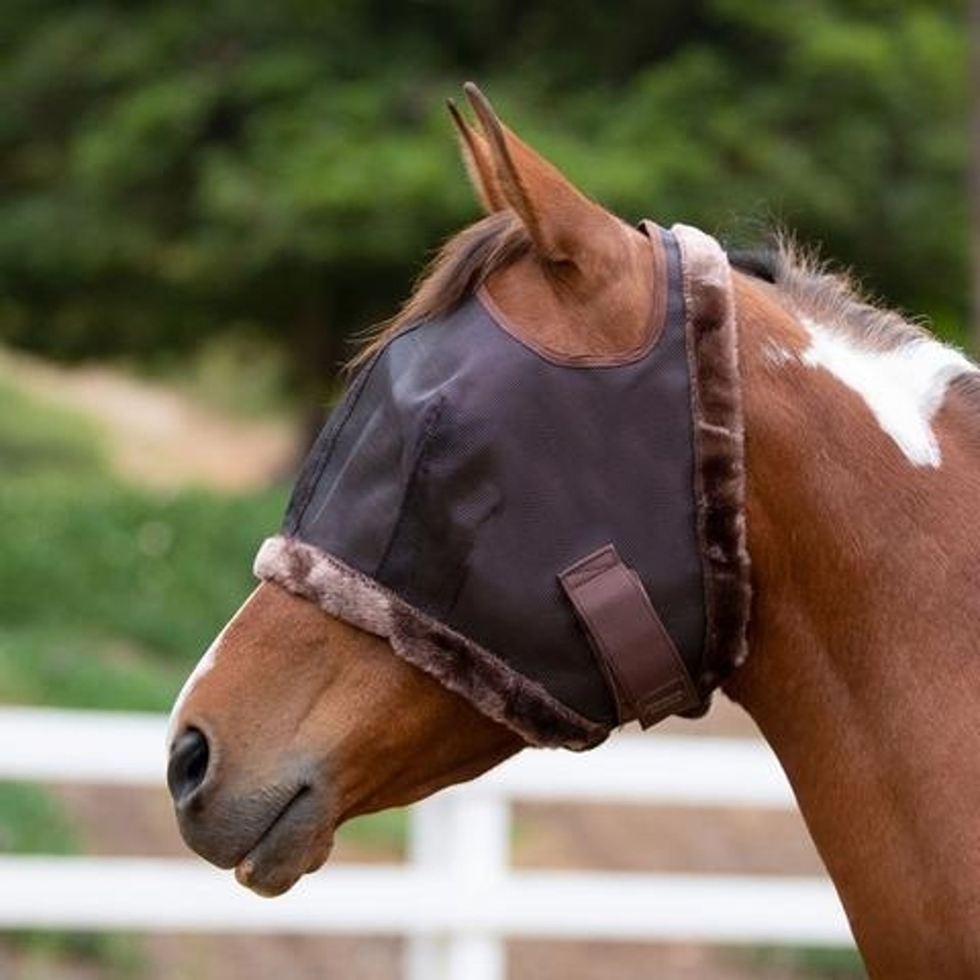 Kensington Fly Mask with Fleece Trim