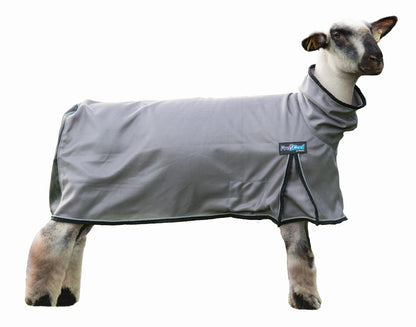 Weaver ProCool Sheep Blanket with Reflective Piping