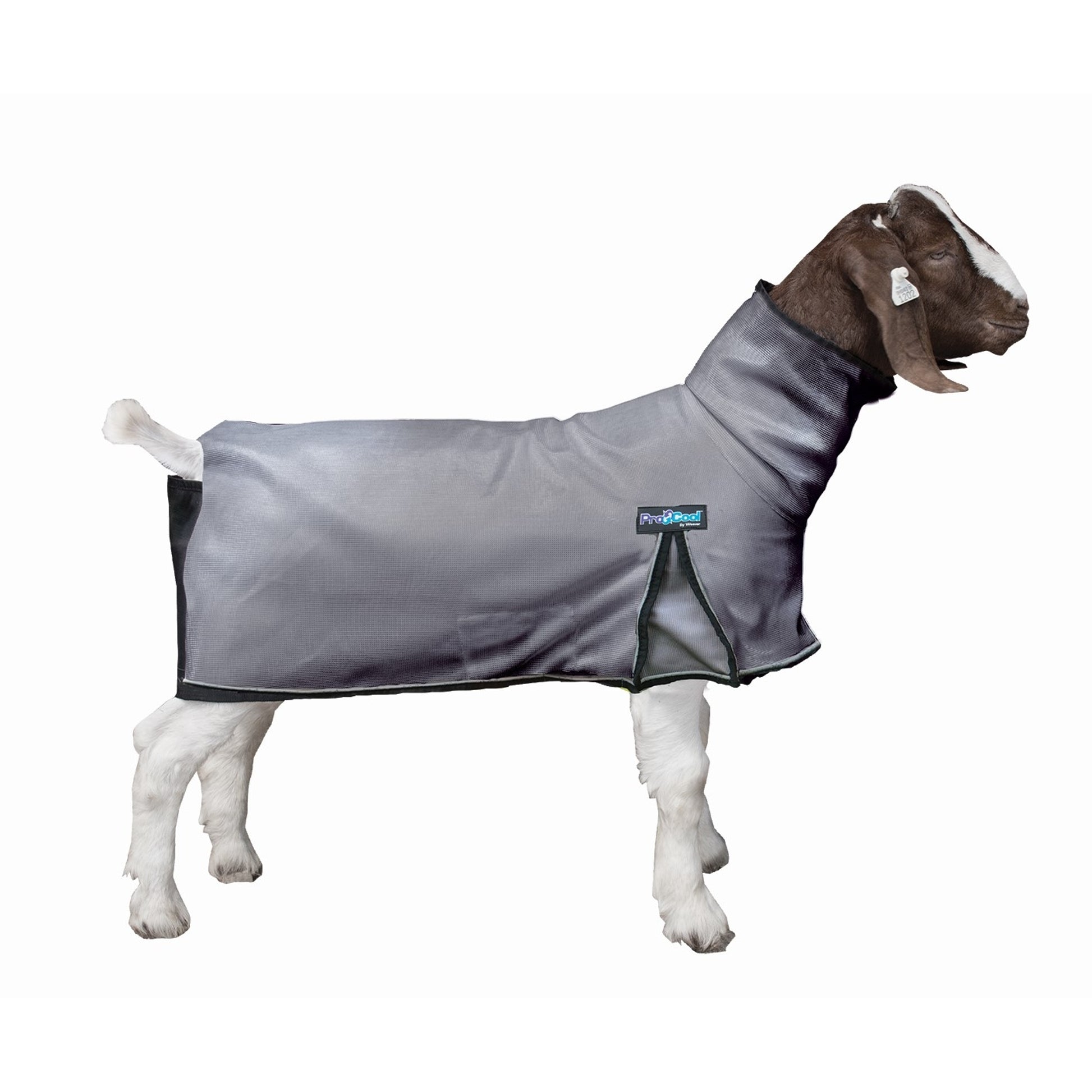 Weaver ProCool Goat Blanket with Reflective Piping