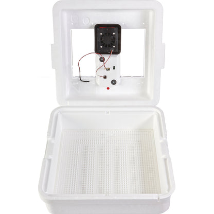 Digital Still Air Incubator