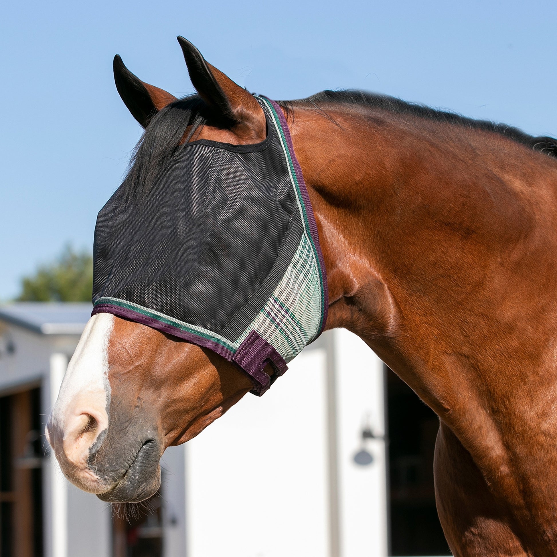 UV CatchMask Web Trim
