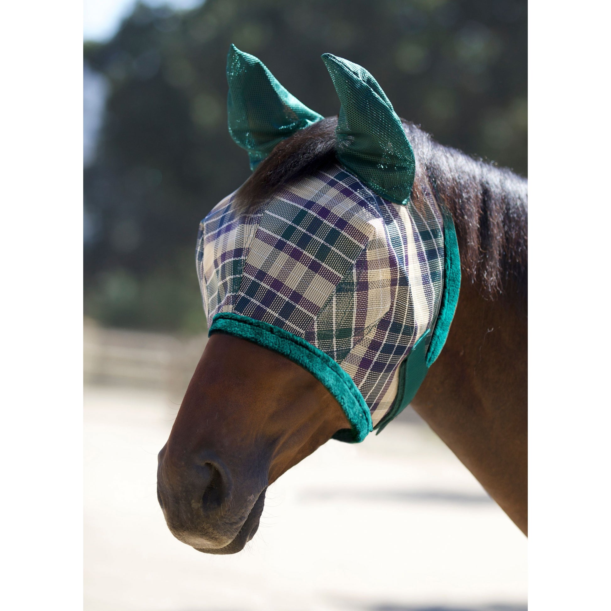 Kensington Fly Mask Fleece Ears