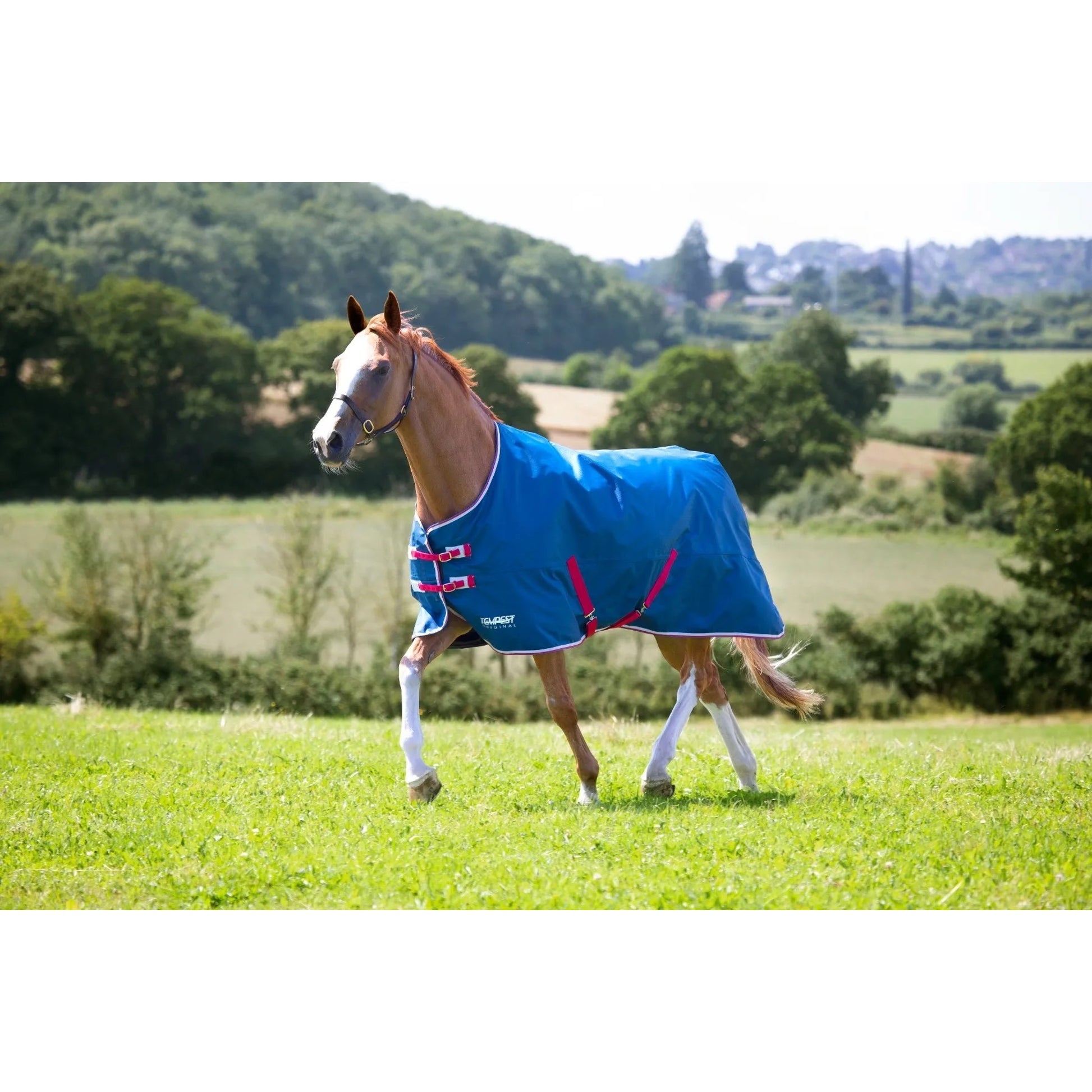 Shires Tempest Original Lite TO