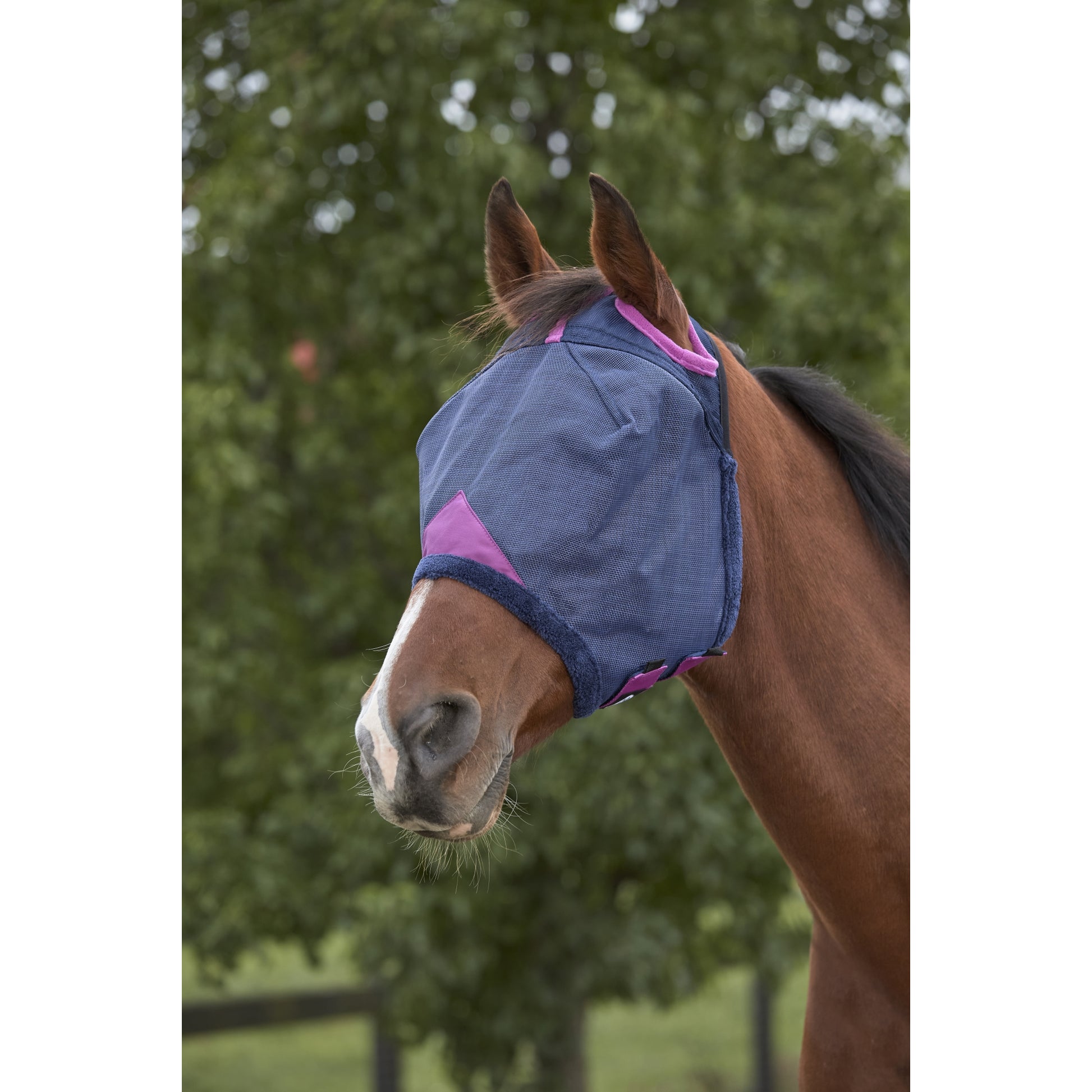 WeatherBeeta ComFiTec Deluxe Durable Mesh Mask