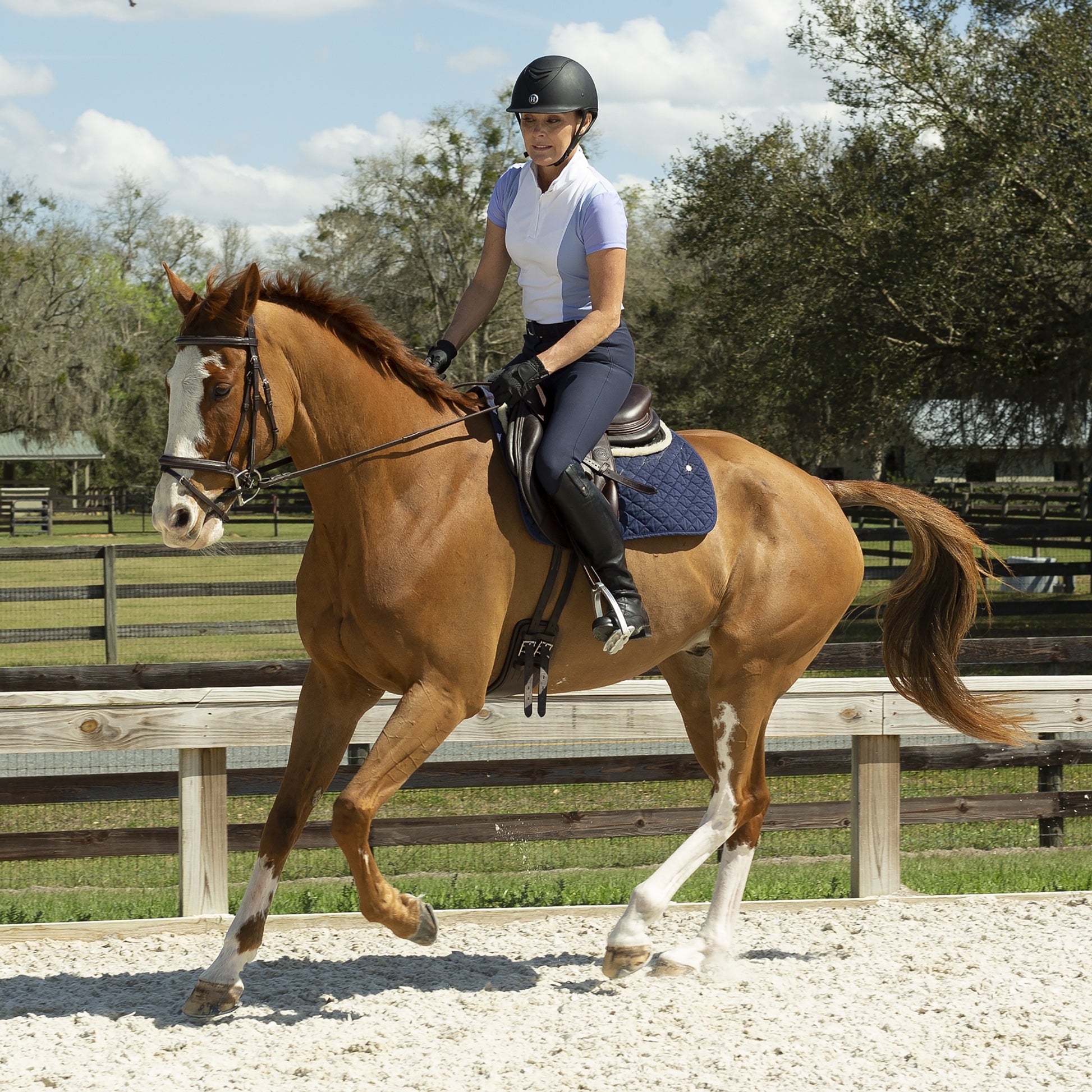 Equinavia Martha Ladies Short Sleeved Show Shirt