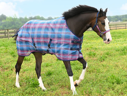 Kensington 73% UV Pony Protective Fly Sheet