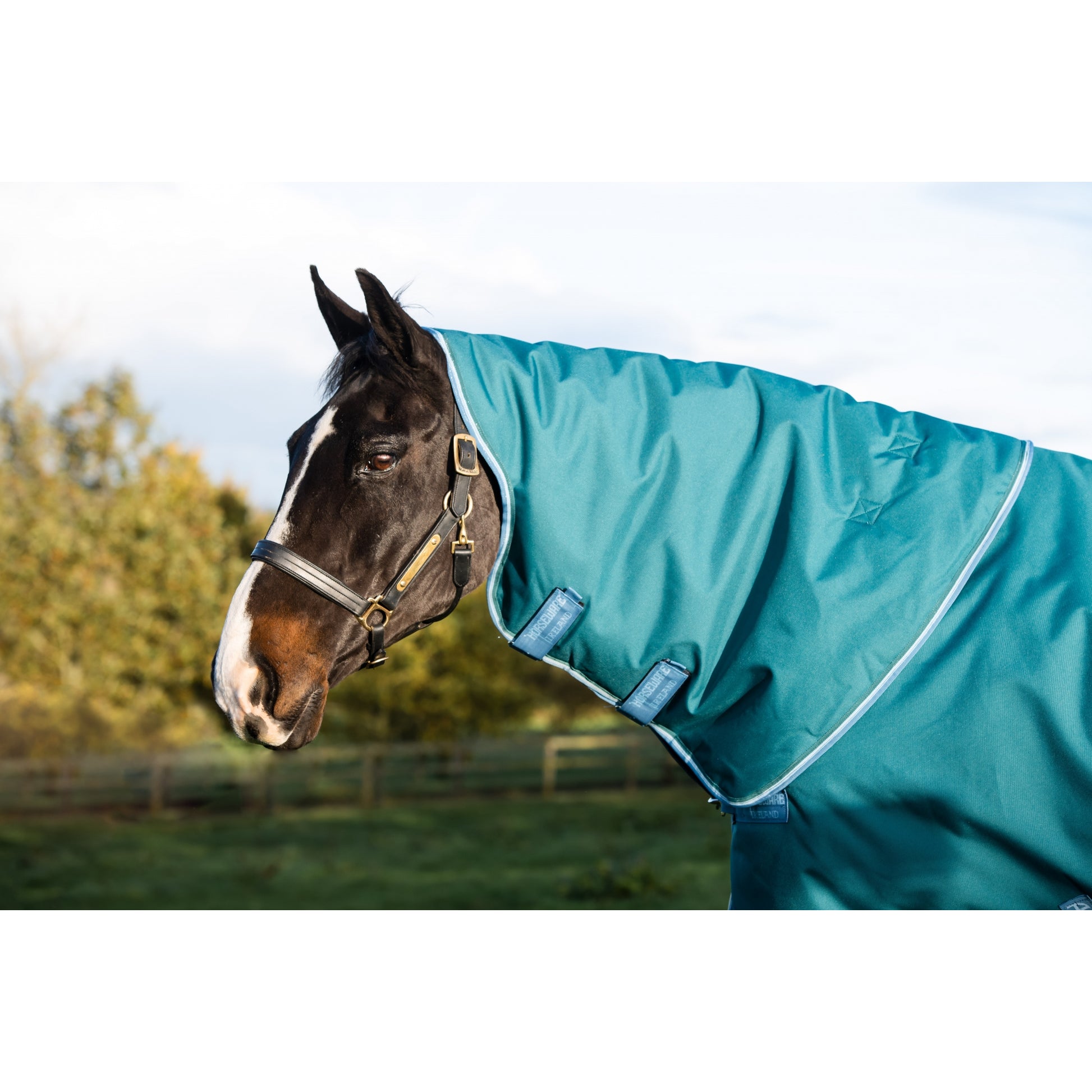 Amigo Bravo 12 Plus Turnout (400g Heavy)