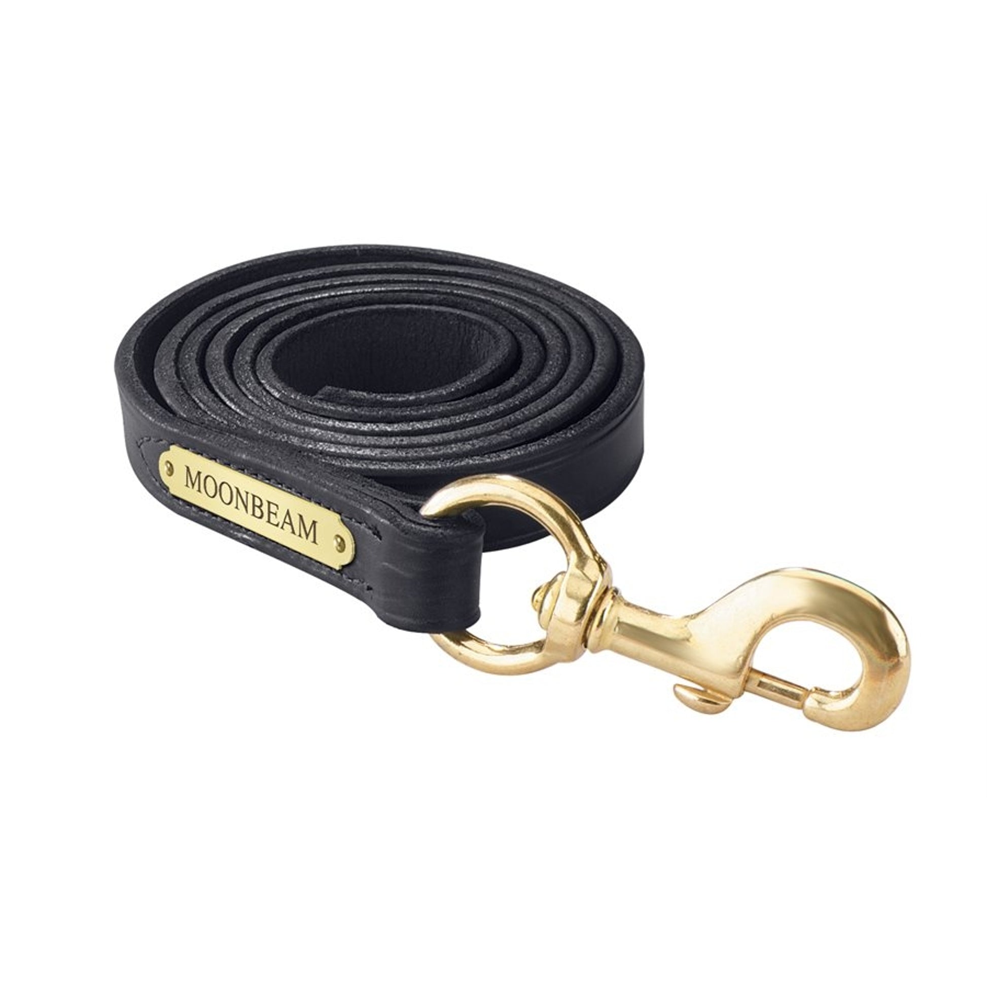 Perri's Personalized Leather Lead with Snap