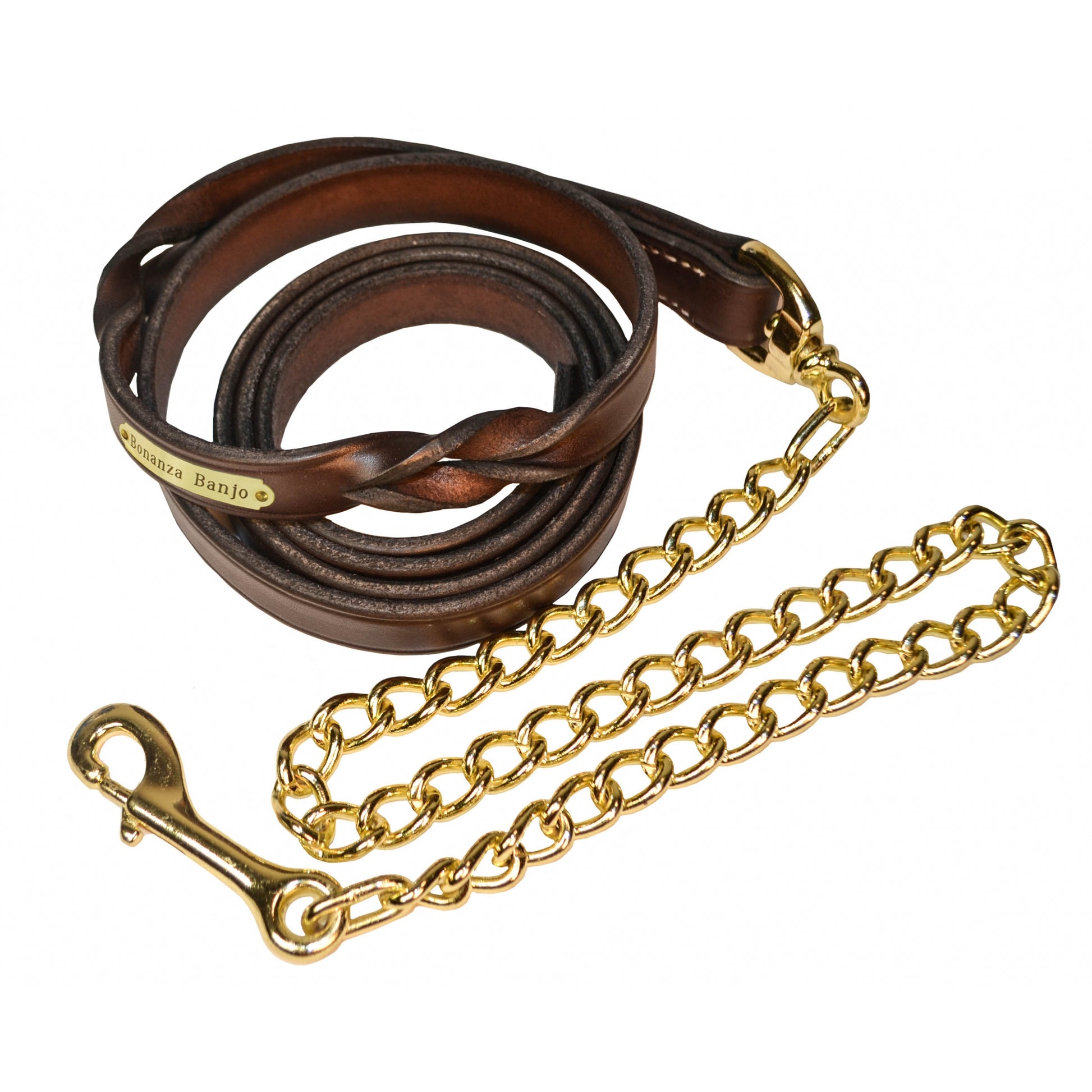 Perri's Personalized Twisted Leather Lead