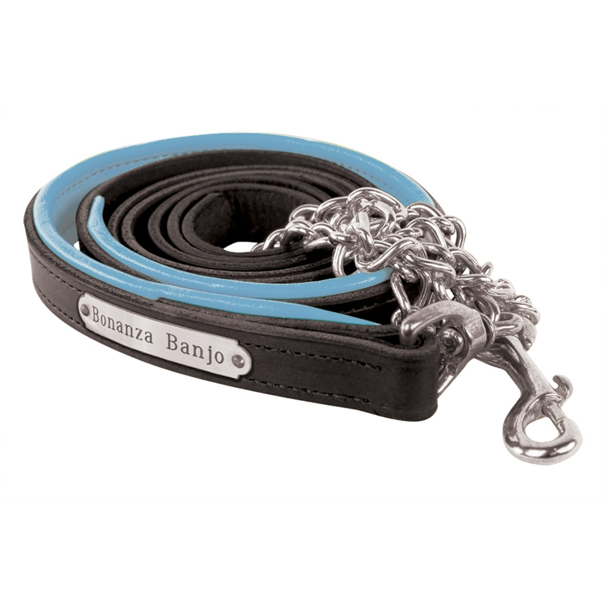 Perri's Personalized Padded Leather Lead with Chain