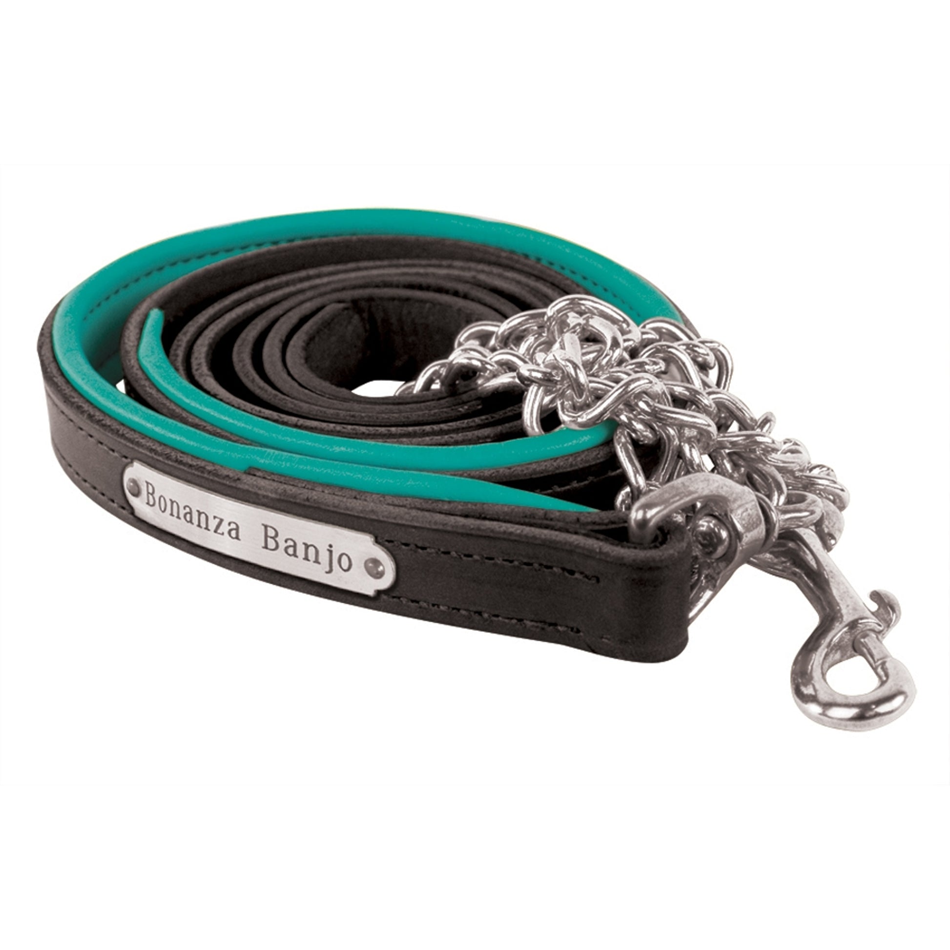 Perri's Personalized Padded Leather Lead with Chain