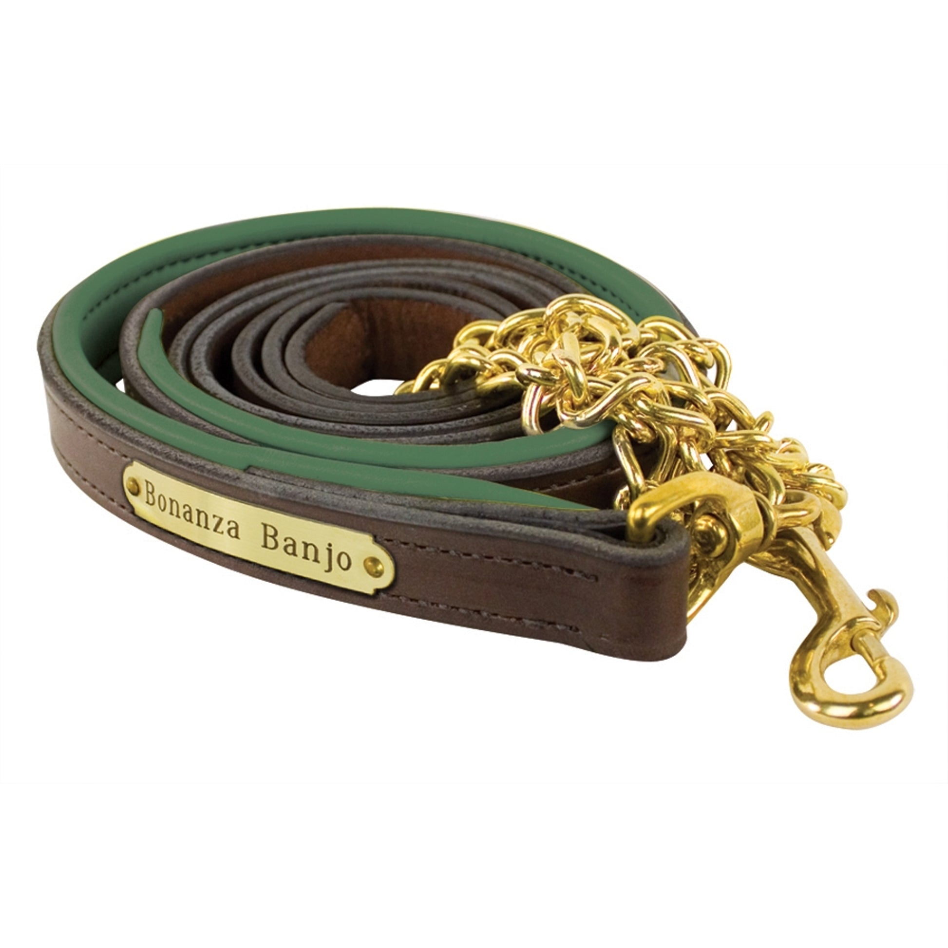 Perri's Personalized Padded Leather Lead with Chain