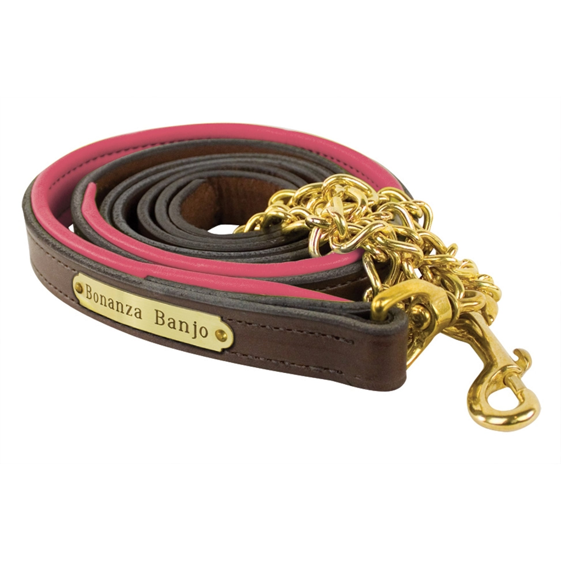 Perri's Personalized Padded Leather Lead with Chain