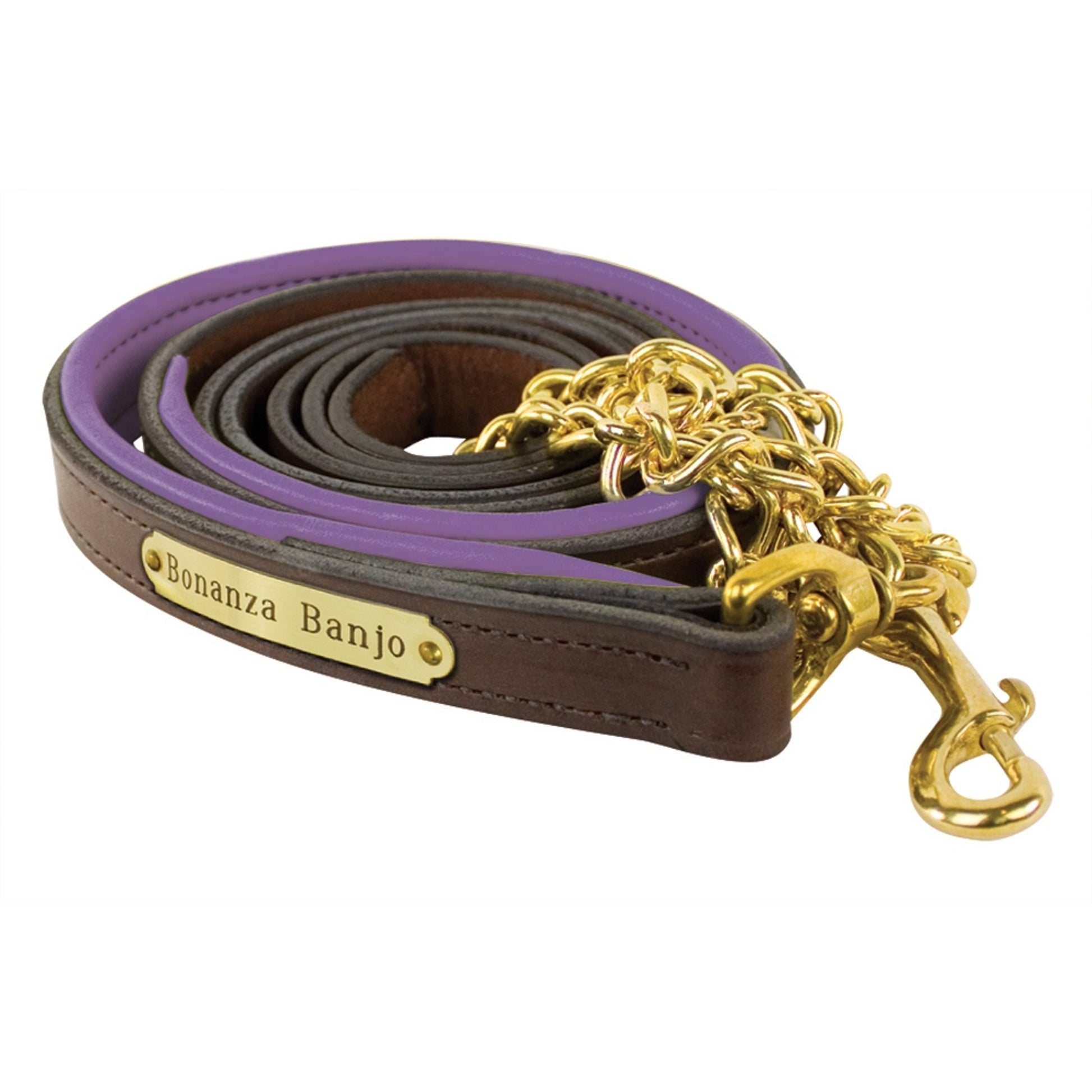 Perri's Personalized Padded Leather Lead with Chain
