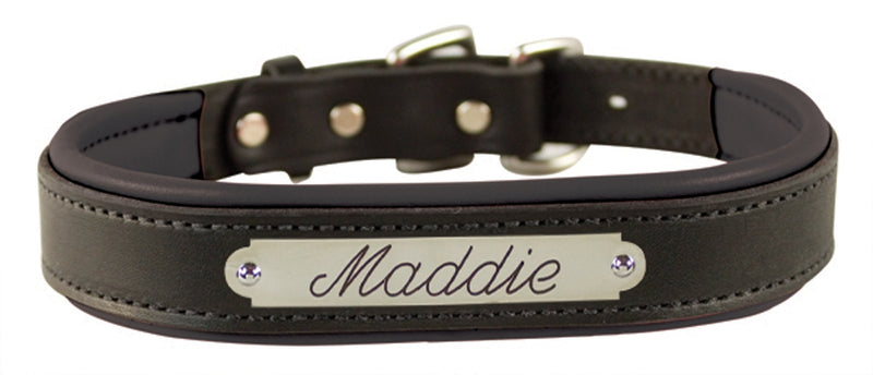 Perri's Personalized Padded Leather Dog Collar