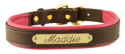 Perri's Personalized Padded Leather Dog Collar