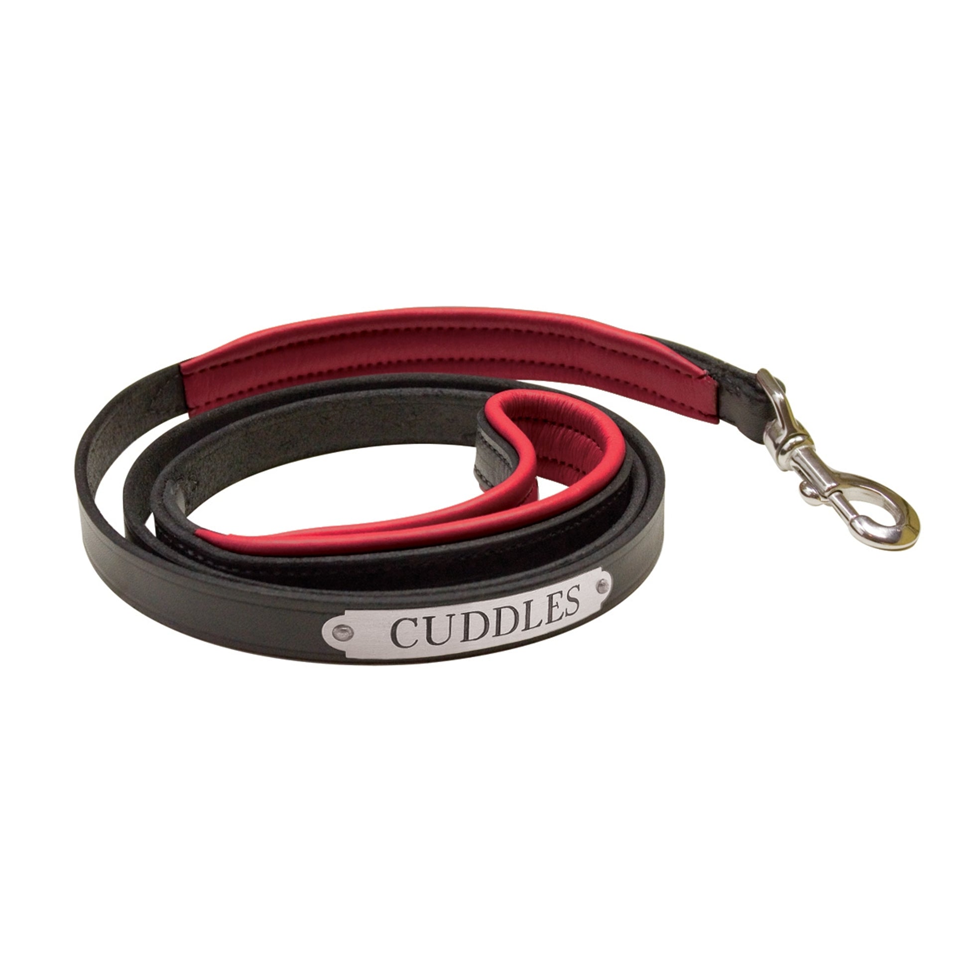 Perri's Personalized Padded Leather Dog Leash