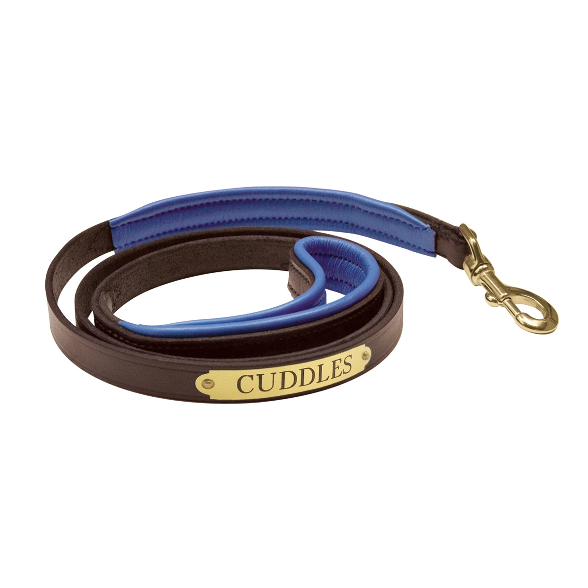 Perri's Personalized Padded Leather Dog Leash