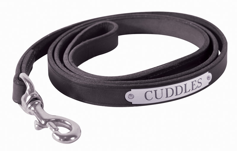 Perri's Personalized Plain Leather Dog Leash