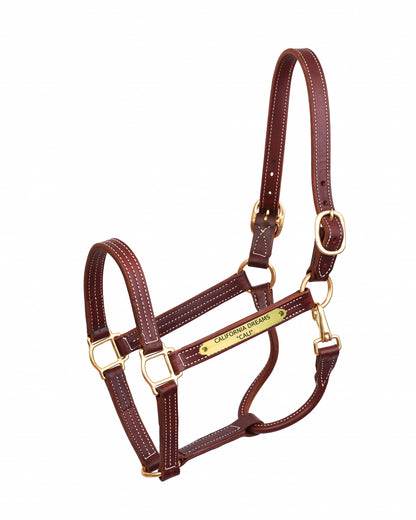 Perri's Personalized Professional Halter