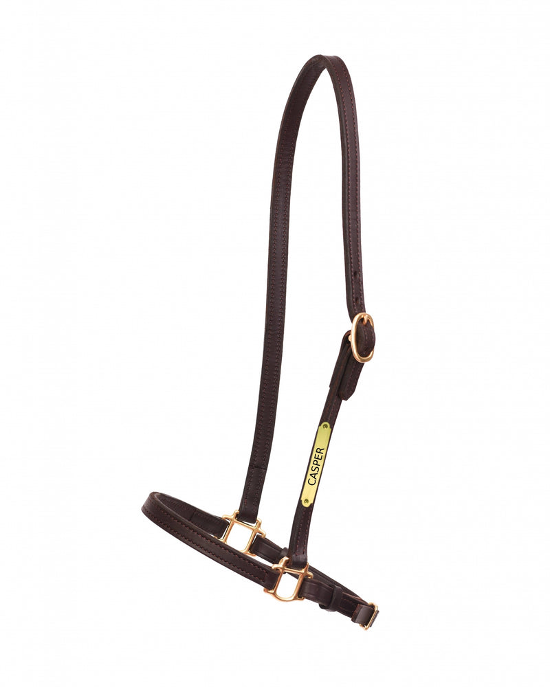 Perri's Personalized 3/4" Grooming Halter