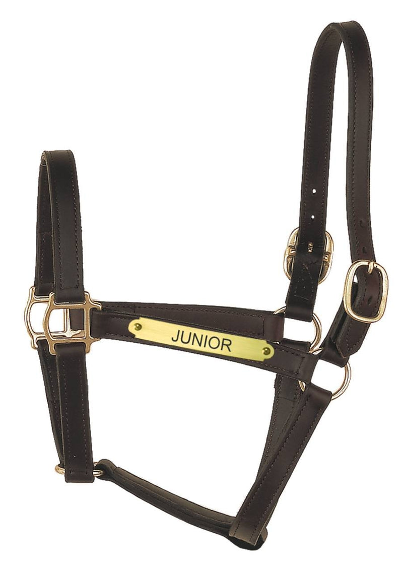 Perri's Personalized 1" Track Syle Turnout Halter