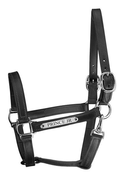 Perri's Personalized 1" Track Style Turnout Snap Halter