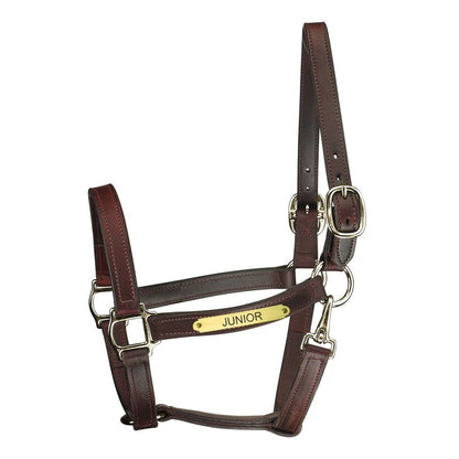 Perri's Personalized 1" Track Style Turnout Snap Halter