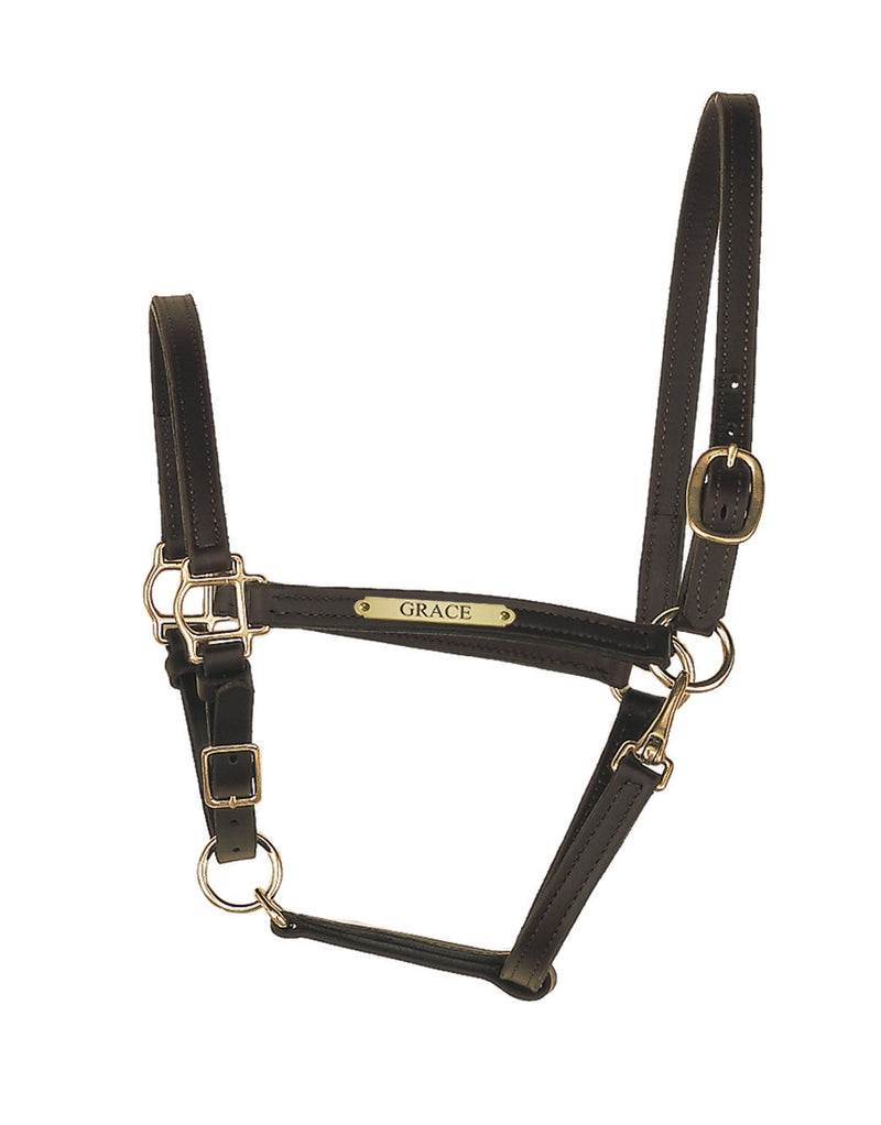 Perri's Personalized 3/4" Leather Turnout Halter