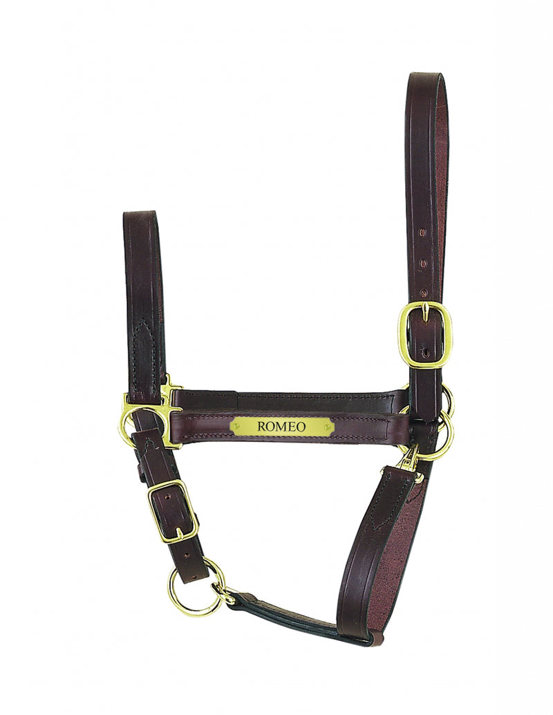 Perri's Personalized Economy Leather Halter