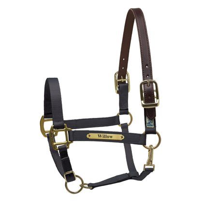Perri's Personalized Premium Nylon Safety Halter