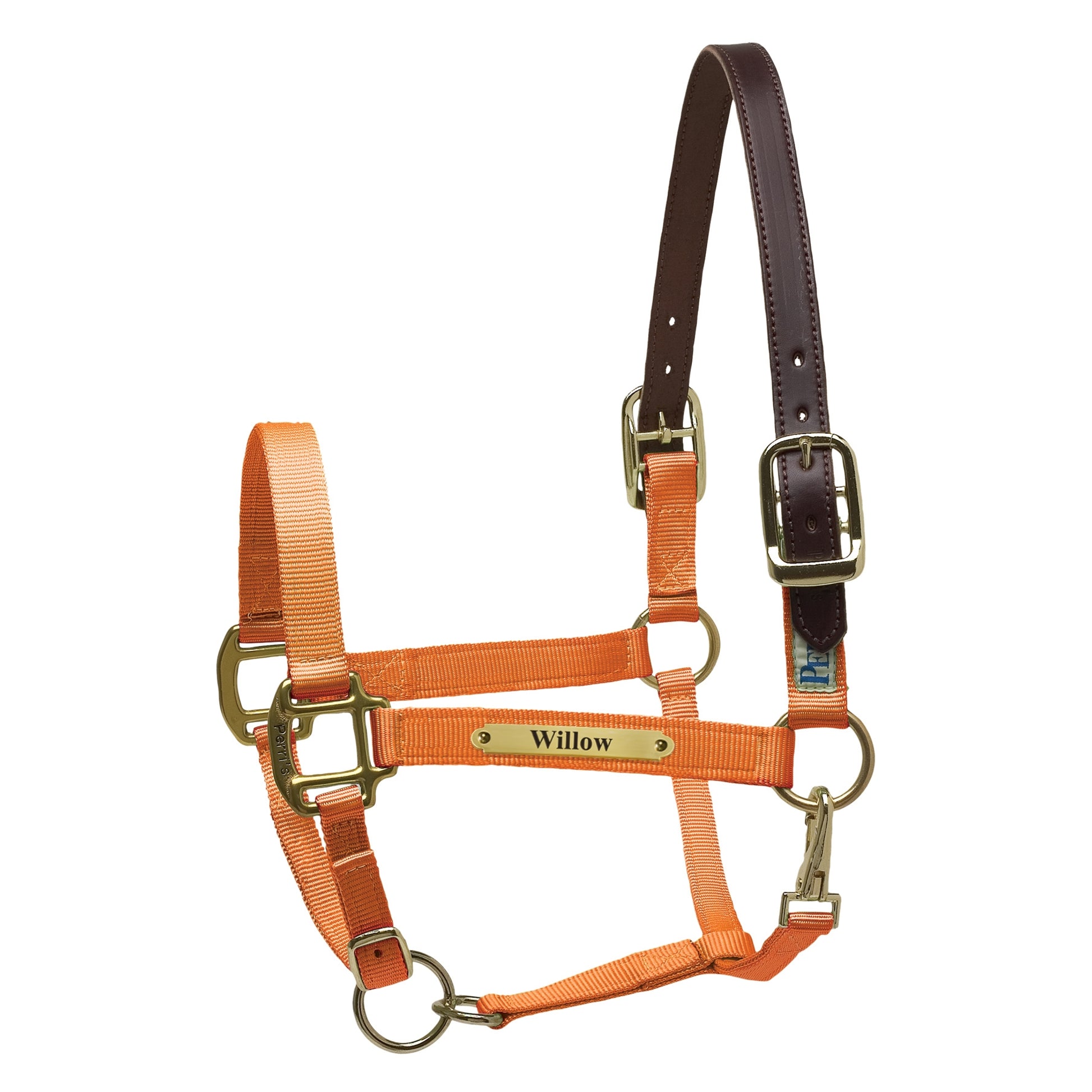 Perri's Personalized Premium Nylon Safety Halter