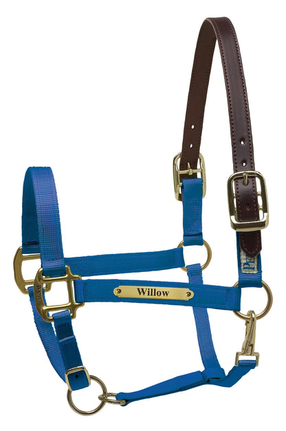 Perri's Personalized Premium Nylon Safety Halter