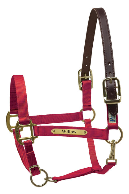 Perri's Personalized Premium Nylon Safety Halter