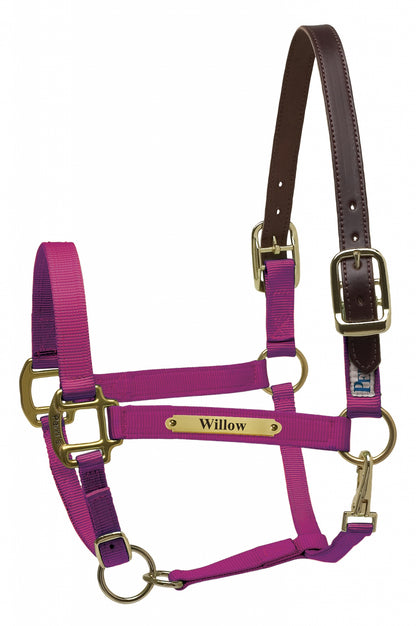Perri's Personalized Premium Nylon Safety Halter