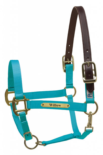 Perri's Personalized Premium Nylon Safety Halter