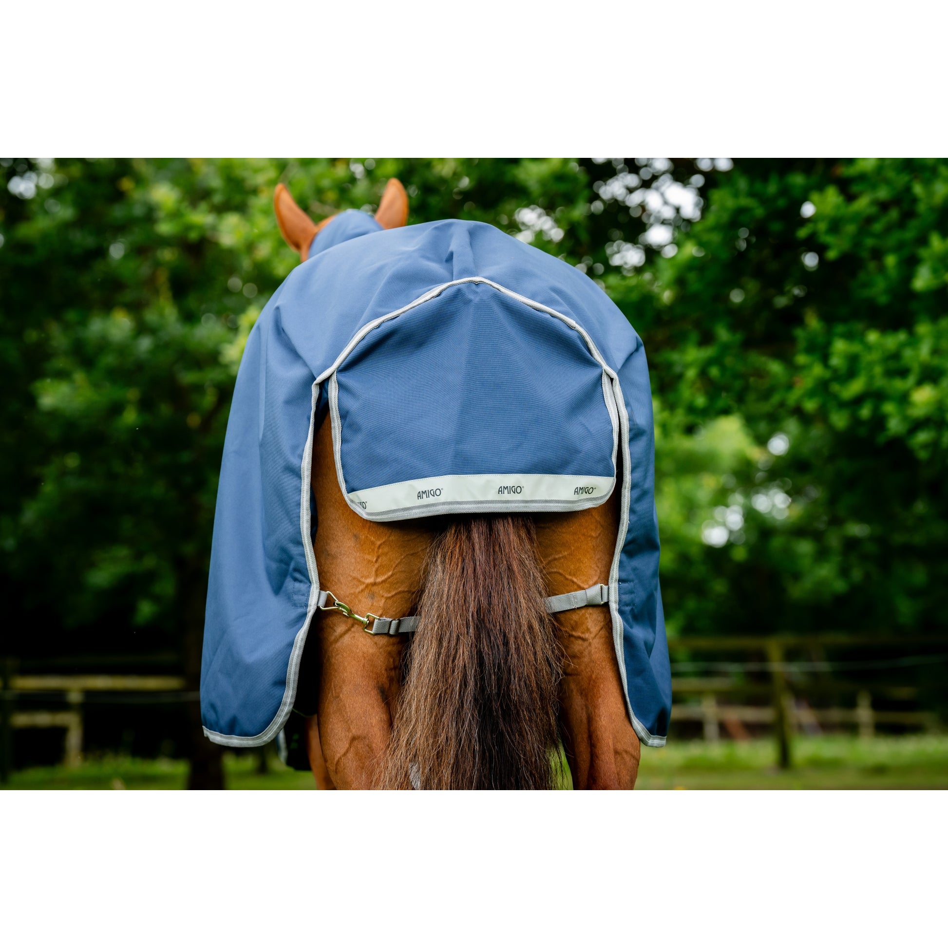 Amigo Bravo 12 Plus Turnout (400g Heavy)