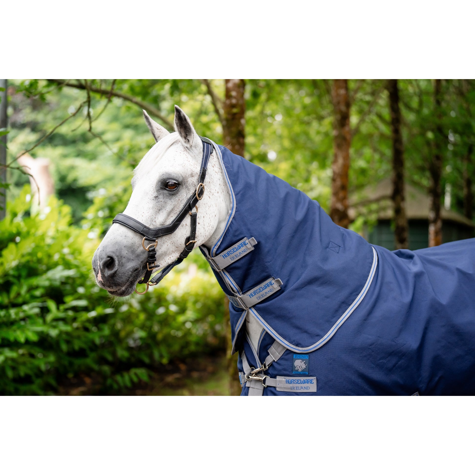Rhino Plus Pony Turnout (250g Medium)