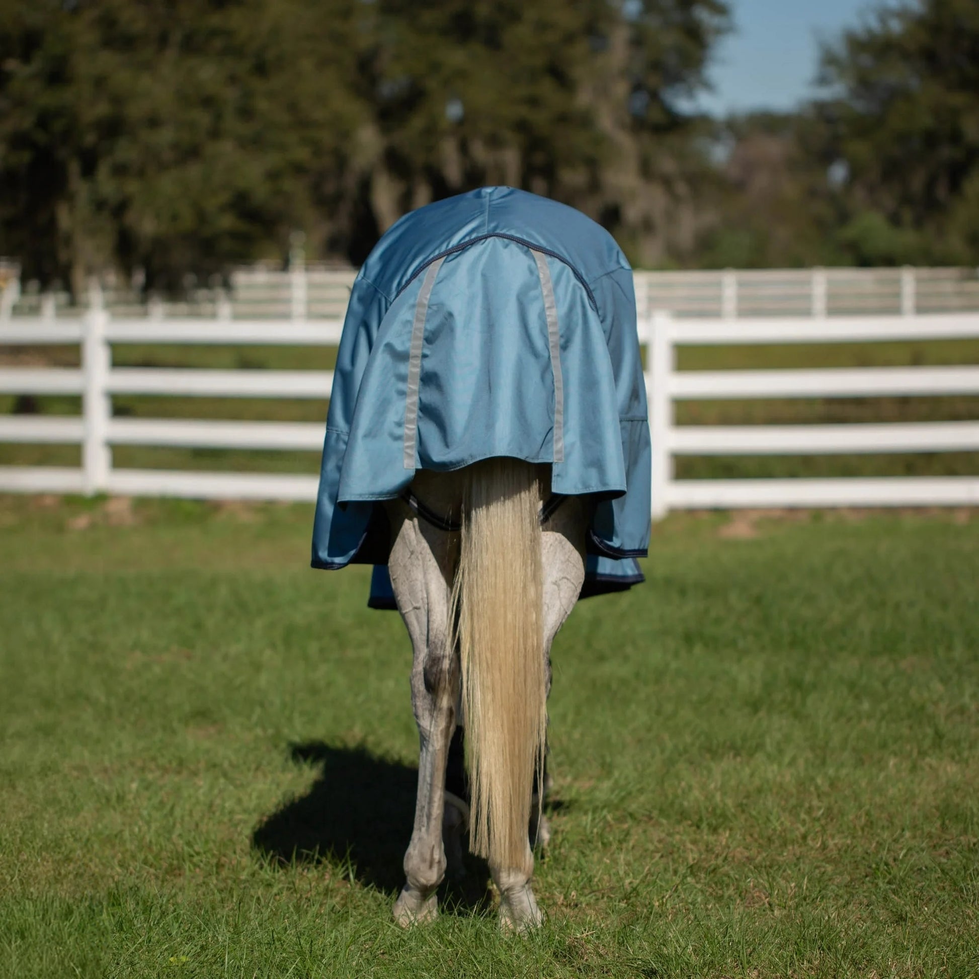 Equinavia Thunder360 Detachable Neck Light Weight Turnout Blanket 100g