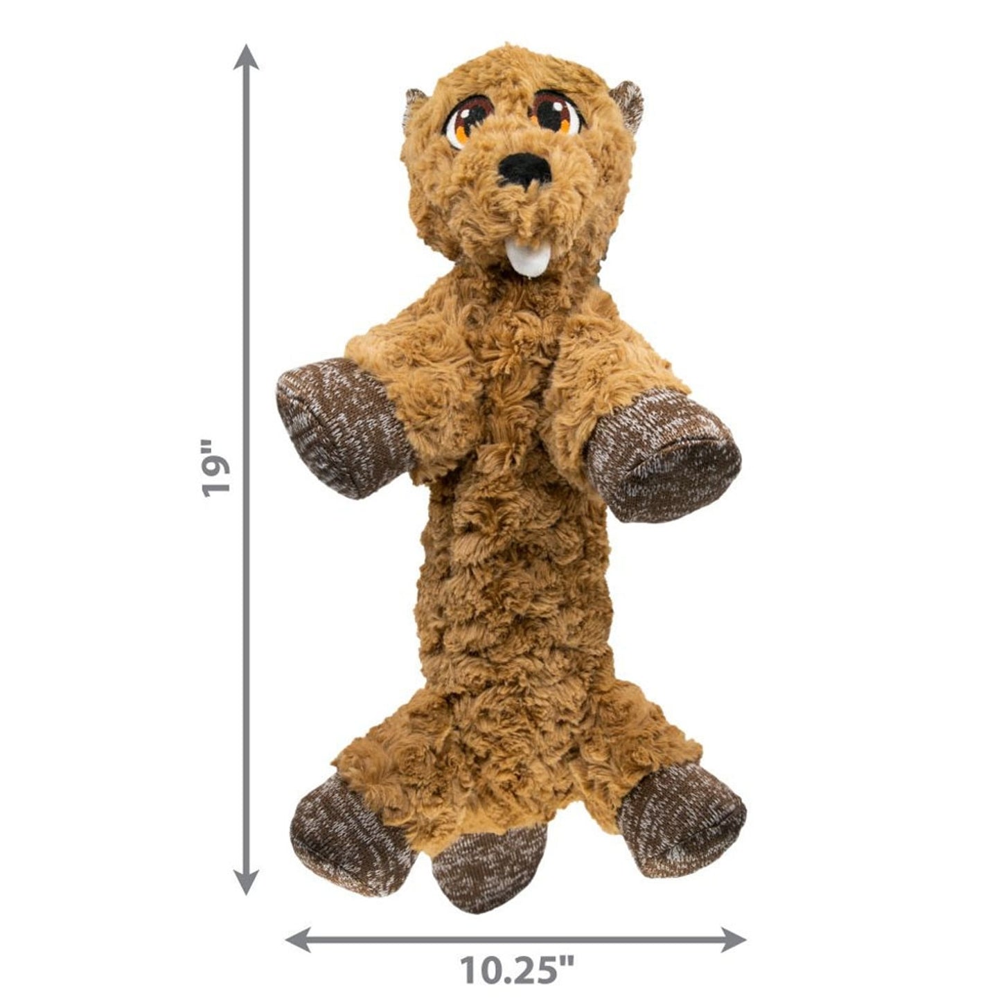 4-443935-c.jpg