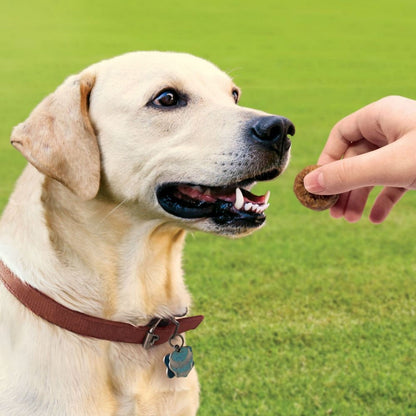 KONG Mini Meatballs For Dogs