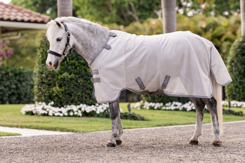 Amigo Bug Rug Pony