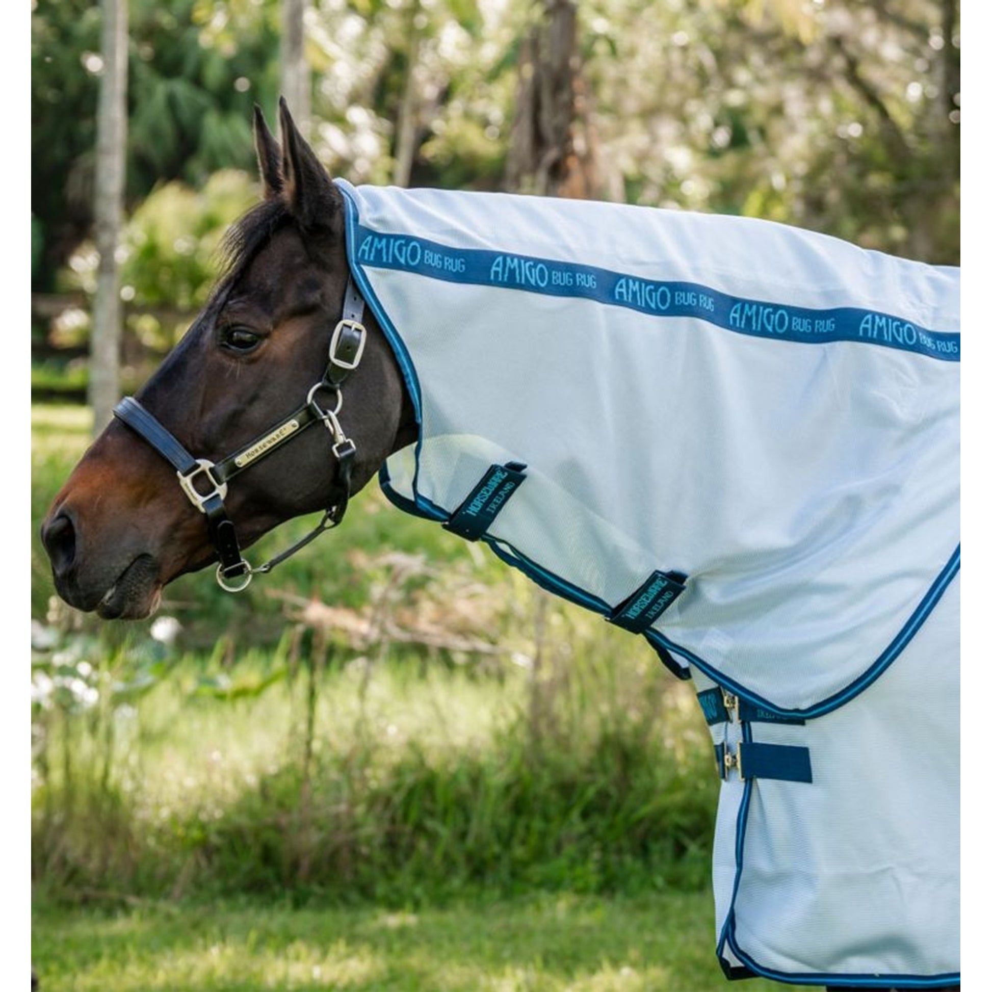 Amigo Bug Rug XL Plus Fly Sheet
