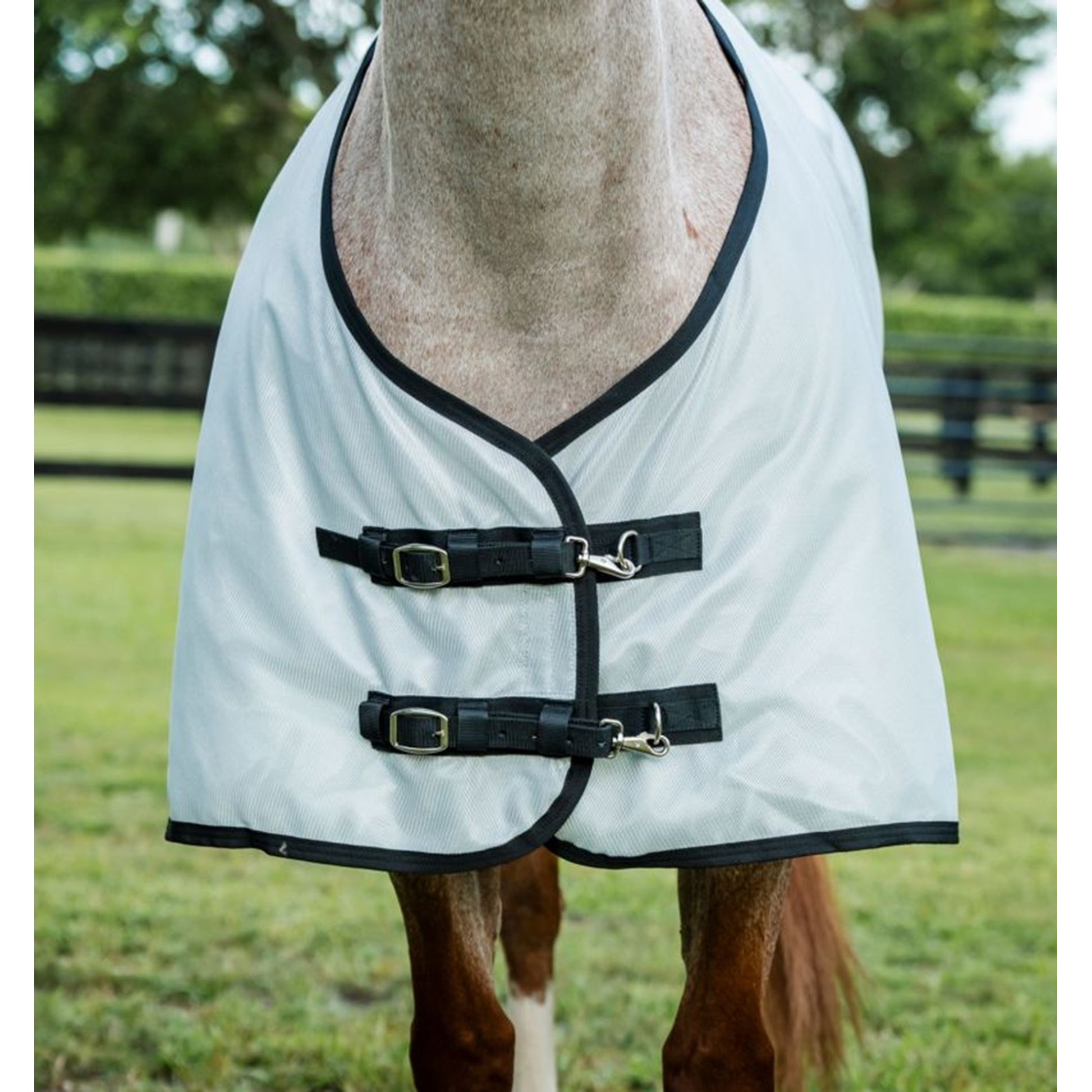 Amigo Bug Rug Stock Horse Fly Sheet