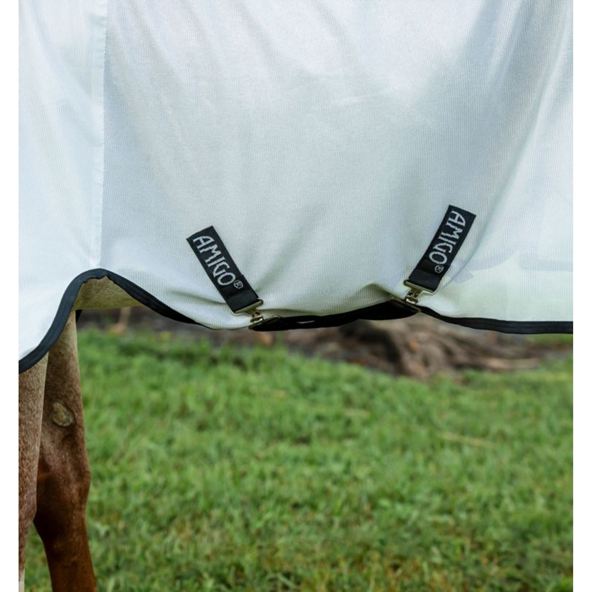 Amigo Bug Rug Stock Horse Fly Sheet