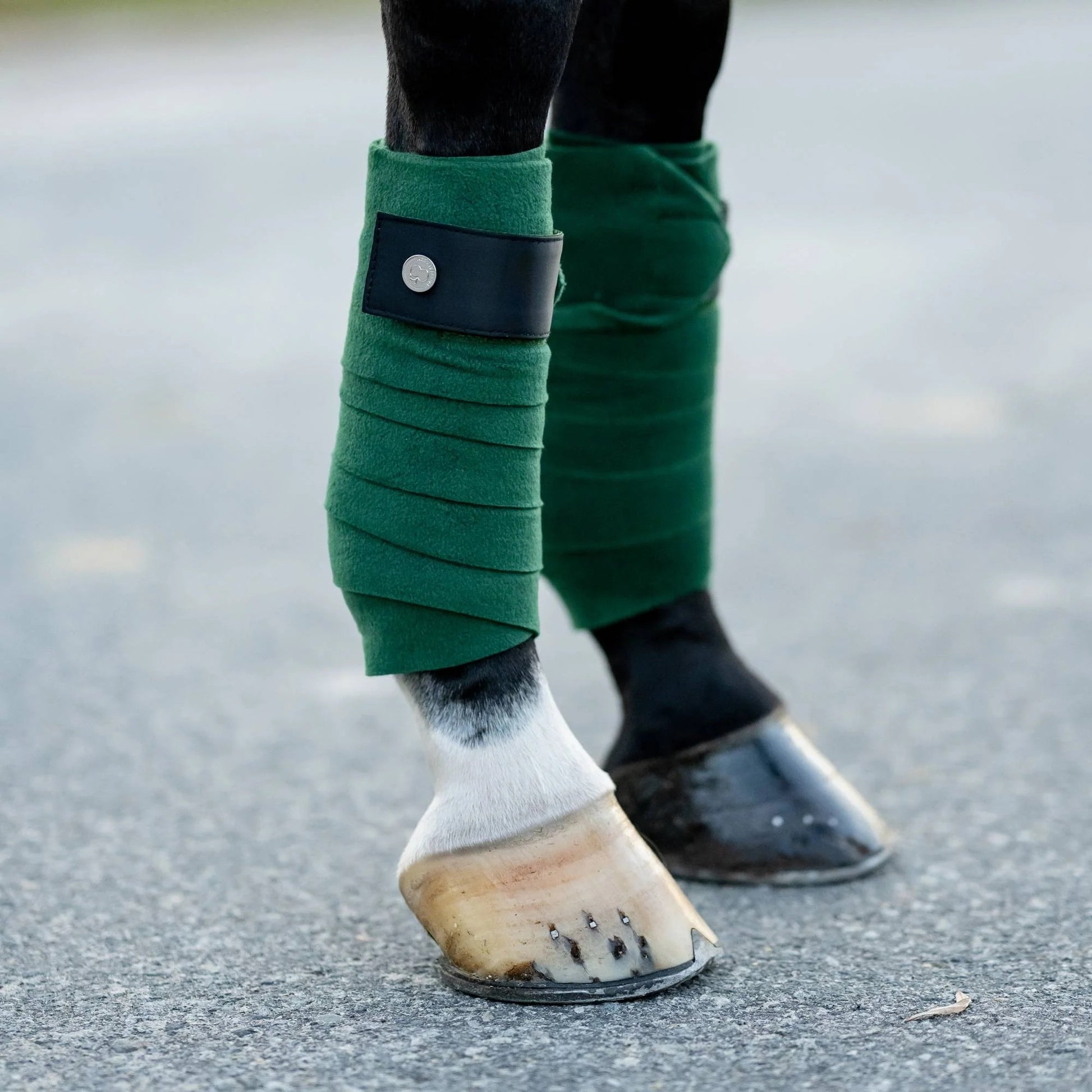 Dapplebay Sport Polo Wraps