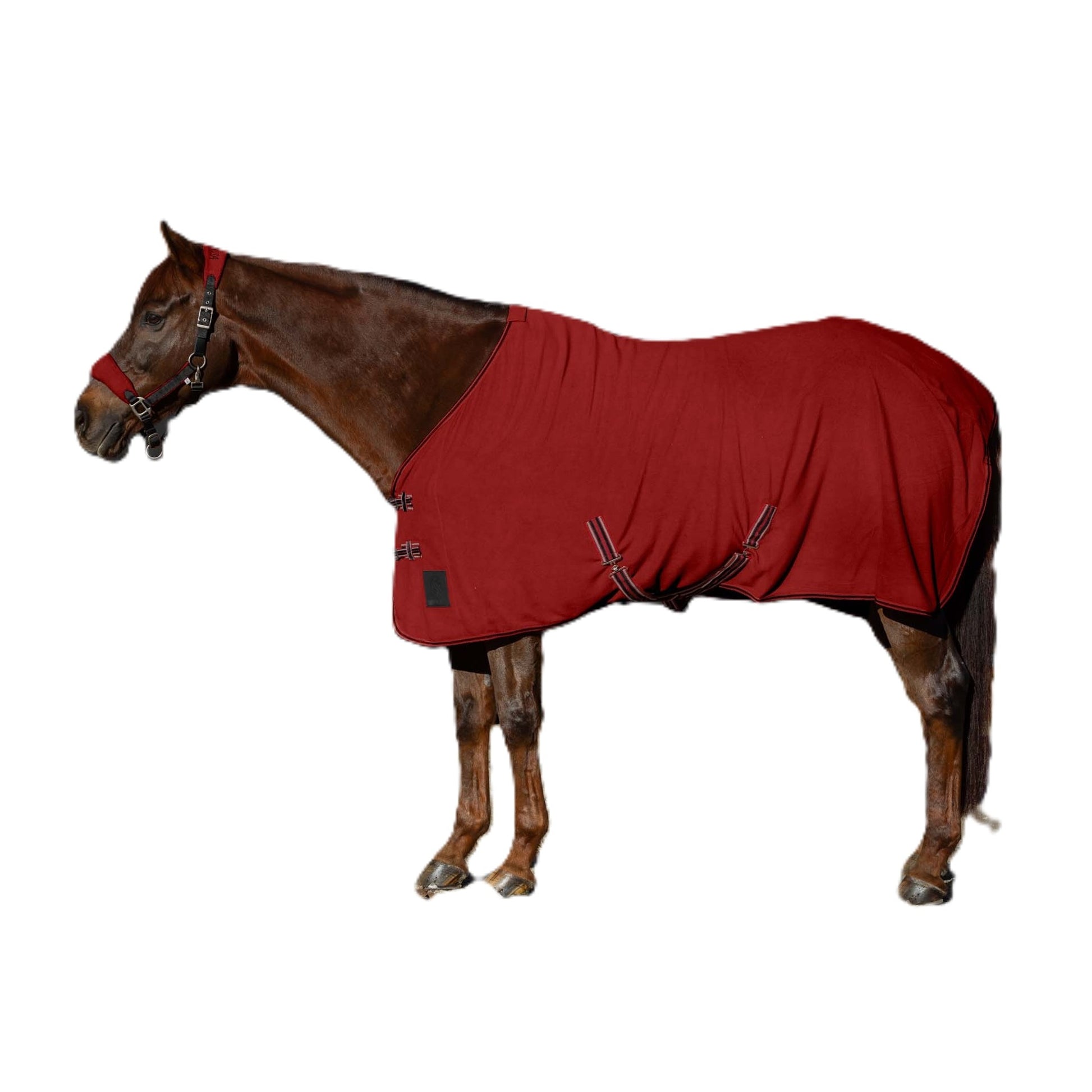 Equinavia Norse Fleece Cooler